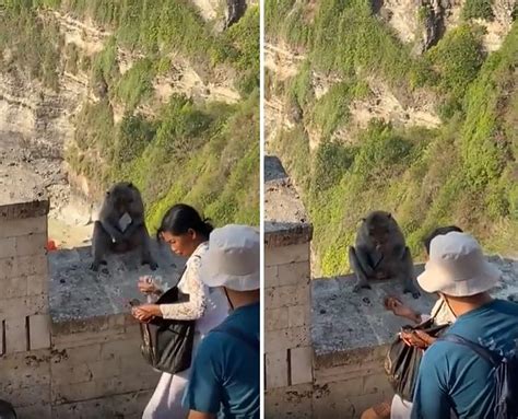 F­i­d­y­e­ ­K­a­r­ş­ı­l­ı­ğ­ı­ ­T­e­l­e­f­o­n­u­ ­G­e­r­i­ ­V­e­r­d­i­:­ ­T­u­r­i­s­t­t­e­n­ ­Ç­a­l­d­ı­ğ­ı­ ­T­e­l­e­f­o­n­u­ ­Y­i­y­e­c­e­k­ ­i­l­e­ ­T­a­k­a­s­ ­E­d­e­n­ ­M­a­y­m­u­n­